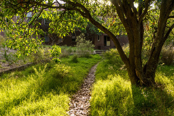 trail and old building in bush