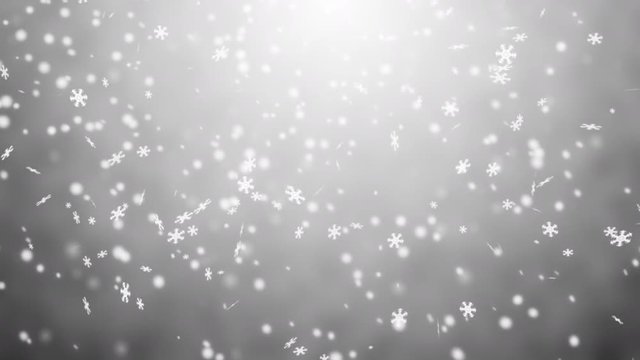 snowing and wind blows, snowflakes float along the wind. VDO about snow or snowing use for put a text, logo, advertising or background.
