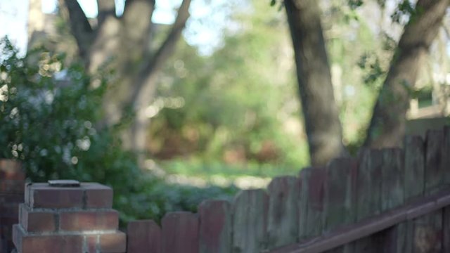 Suburban Trees Being Rustic Wooden Fence In Backyard