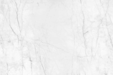 Obraz na płótnie Canvas Abstract white marble background with natural motifs.