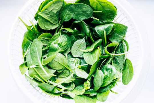 Fresh Baby Spinach In Salad Spinner