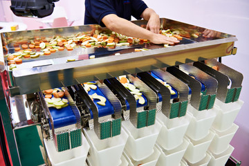 Sorting and packing machine of sliced fruits vegetables