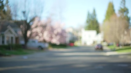 Exterior scene of a quiet neighborhood street with a cherry blossom tree