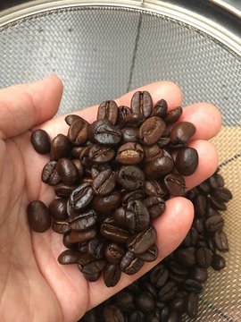 コーヒー