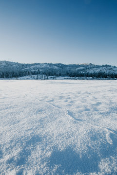 Little mouse tracks across a snowy field.