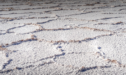 lagunas de baltinache - salt in the middle of the atacama desert
