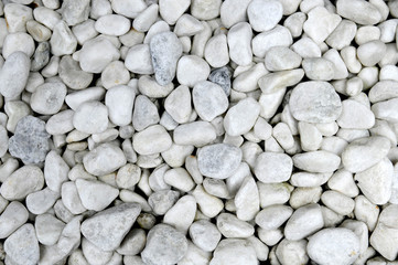 白い小石