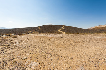 Whimsical Patterns of the Desert