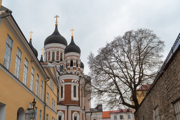 Obraz premium Tallinn Old Town Cathedral