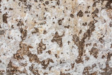 Decrepit wall