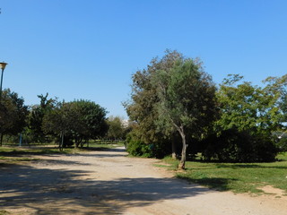 October 2018, Athens, Greece. The ancient site of Plato&rsquo;s Academy. View of the park
