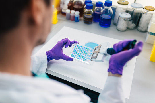 Closeup of a Biologist Working with Fluids in the Laboratory