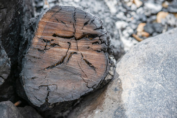 &Aacute;rbol quemado y talado junto a roca