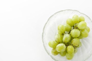 種無しぶどう グリーンシードレス