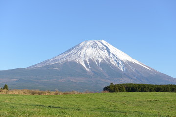 Fototapeta premium 富士山