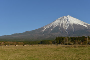 富士山
