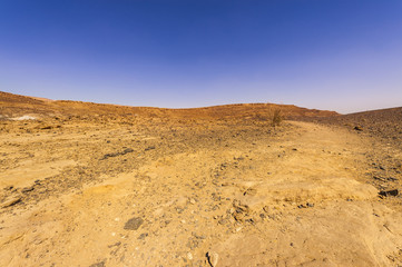 Whimsical Patterns of the Desert