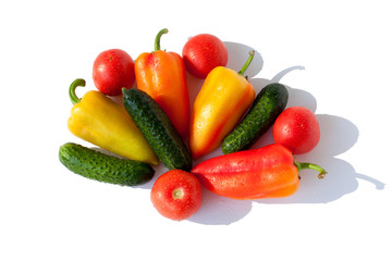 Vegetables cucumbers, peppers and tomatoes red green yellow orange in water drops on white background Isolated top view