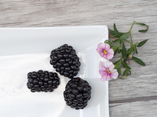 3 Brombeeren auf Weißem Teller und 2 Rosa Blüten