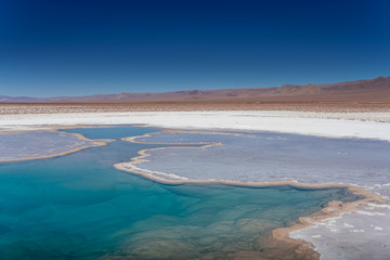 lagunas de baltinache - lake surrounded by salt in the middle of the atacama desert