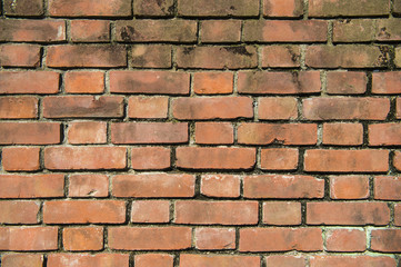 Obraz premium レンガ壁