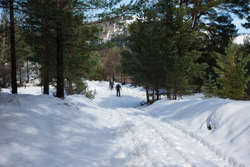 Cross country skiiing in the Cairngorm Mountains of Scotland