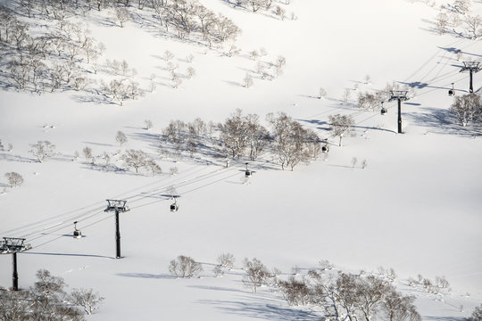Gondola and trees in ski field
