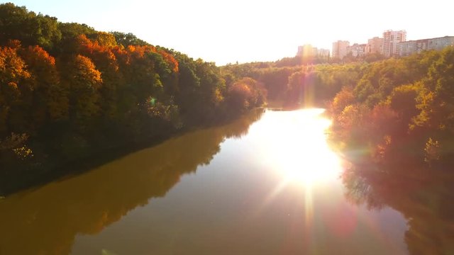 AERIAL: drone view at autumn forest along the river