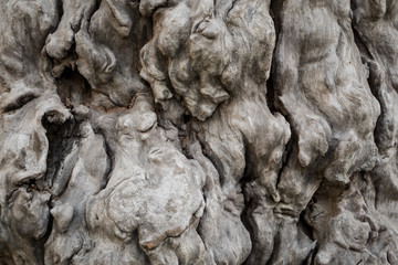 Close up of root grain wood knot strange texture for background