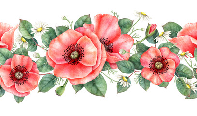 Watercolour seamless border with poppy, chamomile and leaves. Hand drawn botanical illustration. Floral design element isolated on white background.