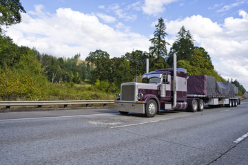 Fototapeta na wymiar Purple classic big rig semi truck transporting covered commercial cargo on flat bed semi trailer
