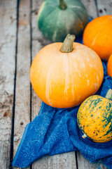 Autumn Pumpkin Thanksgiving Background - orange pumpkins over wo