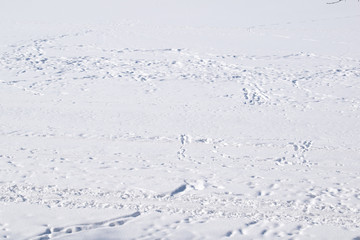 Traces on white snow