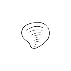 Vector hand drawn sea shell. Isolated individual object.
