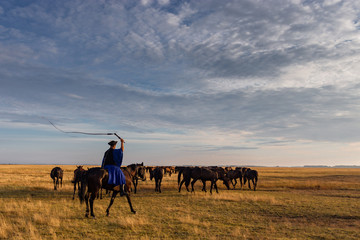 Horseman is driving out the horses in the field I  Hortobagy, rural Eastern Hungary