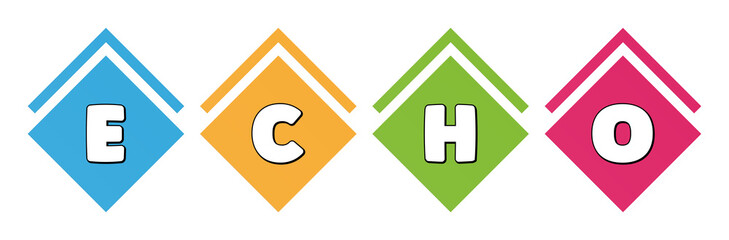 Echo - typography in multi-colored boxes on white background