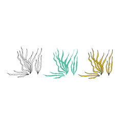 Vector hand drawn seaweeds. Isolated individual objects, algae.