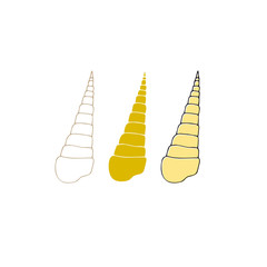 Vector hand drawn sea shells. Isolated individual objects.