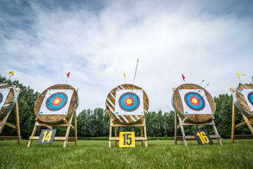 Arrow in front of the target