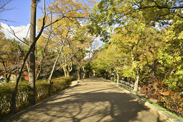 夙川河川敷緑地