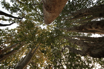 tramonto lungolago Locarno