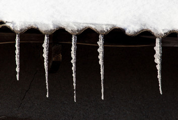 Icicles hang from the roof in winter