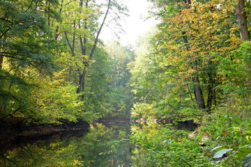Floodplain forest with plain river in the autumn season.