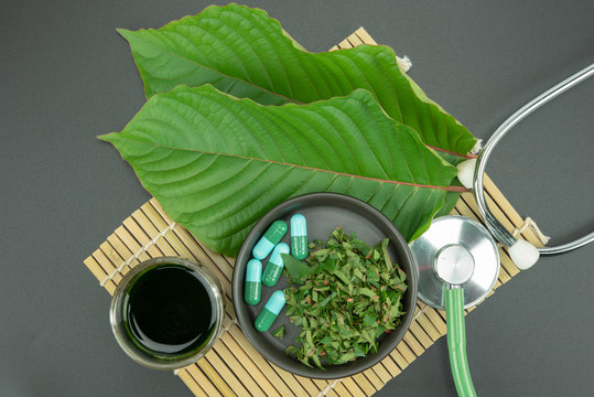 Mitragynina speciosa or Kratom