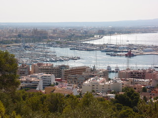 aerial view of the city