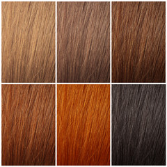 Set with color hair samples. Beauty and professional treatment