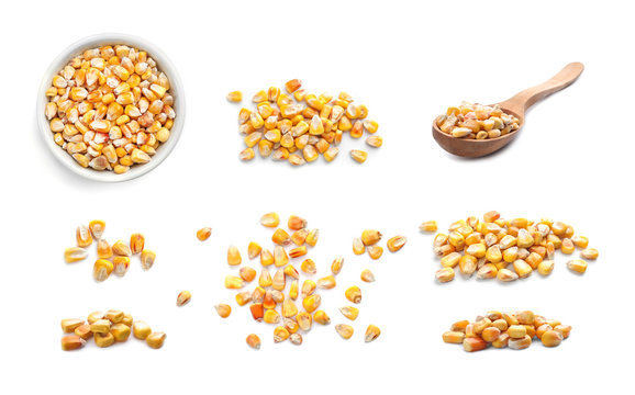 Set with dry corn kernels on white background