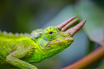 Obraz premium Megapixels On Vacation in Europe