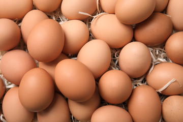 Pile of raw brown chicken eggs, top view
