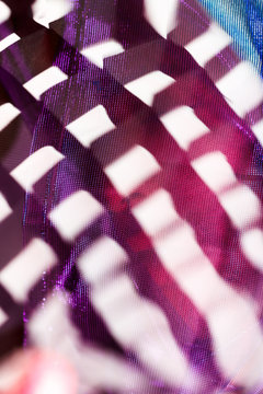 Artistic portraits with holographic fabric